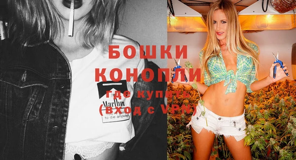 шишки Гусь-Хрустальный