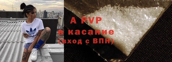 шишки Гусь-Хрустальный